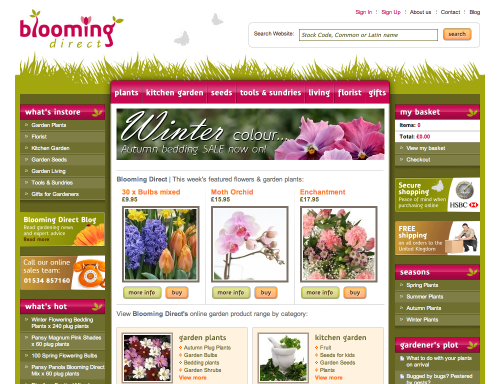 wwwbloomingdirectcom